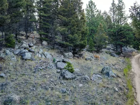 Other - 31 Rogers Ln, Boulder, MT 59632 photo 20 of 57