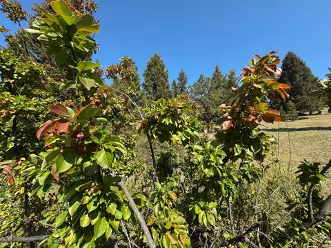 Other - 31 Rogers Ln, Boulder, MT 59632 photo 25 of 57