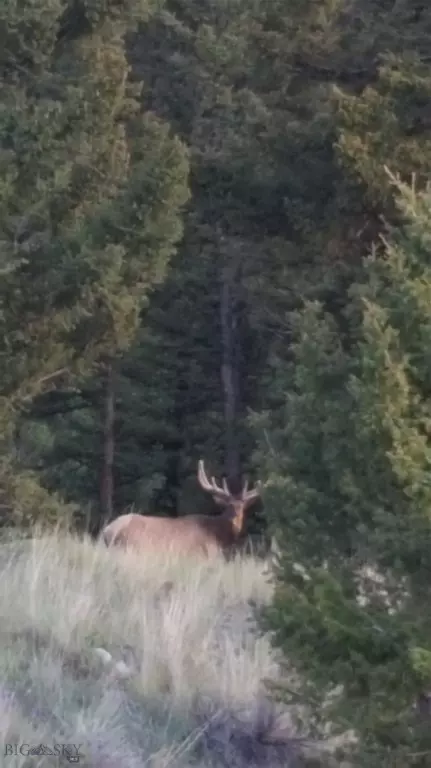 Other - 31 Rogers Ln, Boulder, MT 59632 photo 32 of 57