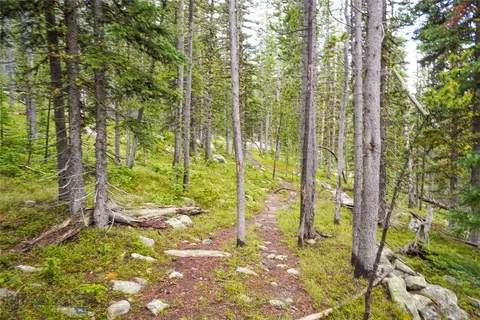 Nhn Jack Creek, Basin, MT 59631 photo 78