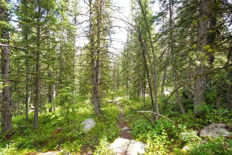 Nhn Jack Creek, Basin, MT 59631 photo 80