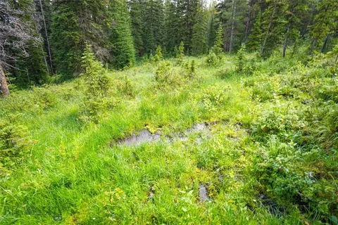 Nhn Jack Creek, Basin, MT 59631 photo 19