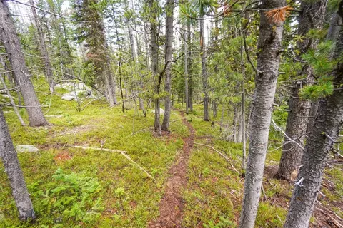 Nhn Jack Creek, Basin, MT 59631 photo 13