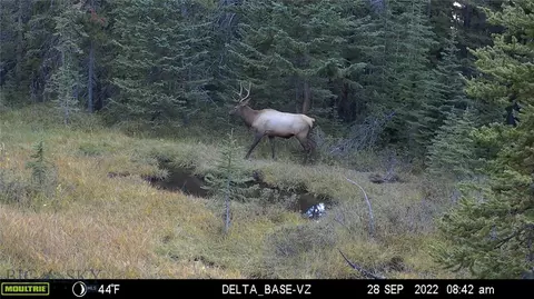 Nhn Jack Creek, Basin, MT 59631 photo 95