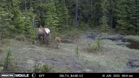 Nhn Jack Creek, Basin, MT 59631 photo 98