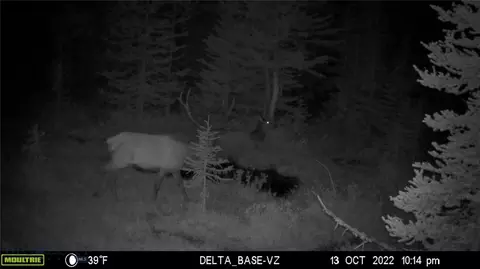 Nhn Jack Creek, Basin, MT 59631 photo 97