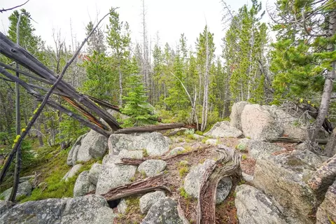 Nhn Jack Creek, Basin, MT 59631 photo 17
