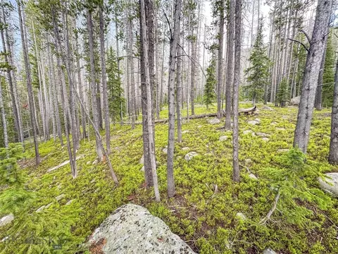 Nhn Jack Creek, Basin, MT 59631 photo 59