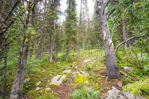Nhn Jack Creek, Basin, MT 59631 photo 25
