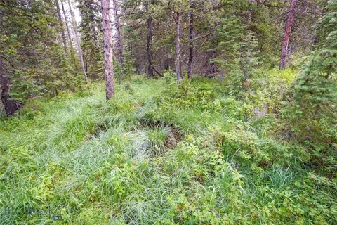 Nhn Jack Creek, Basin, MT 59631 photo 21