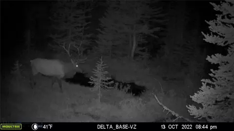 Nhn Jack Creek, Basin, MT 59631 photo 96