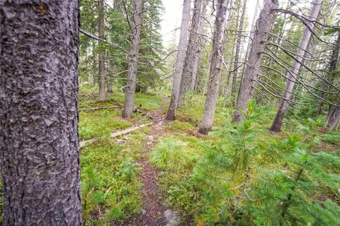 Nhn Jack Creek, Basin, MT 59631 photo 18