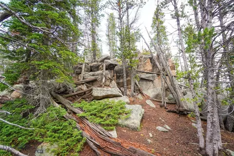 Nhn Jack Creek, Basin, MT 59631 photo 15