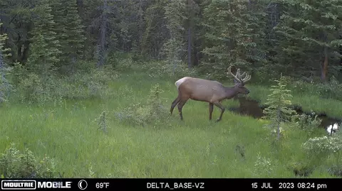 Nhn Jack Creek, Basin, MT 59631 photo 3