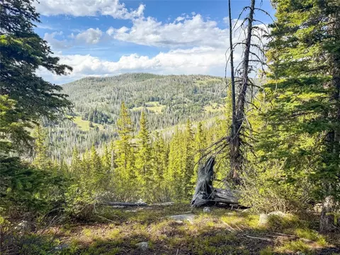 Nhn Jack Creek, Basin, MT 59631 photo 68