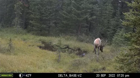 Nhn Jack Creek, Basin, MT 59631 photo 93