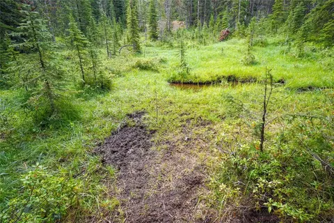 Nhn Jack Creek, Basin, MT 59631 photo 7