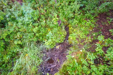 Nhn Jack Creek, Basin, MT 59631 photo 23