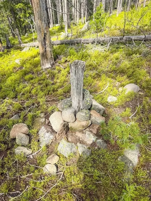 Nhn Jack Creek, Basin, MT 59631 photo 60