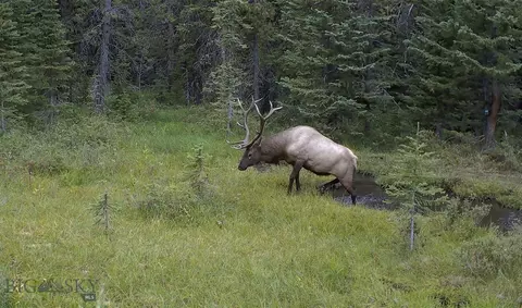 Nhn Jack Creek, Basin, MT 59631
