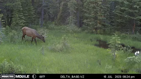 Nhn Jack Creek, Basin, MT 59631 photo 99