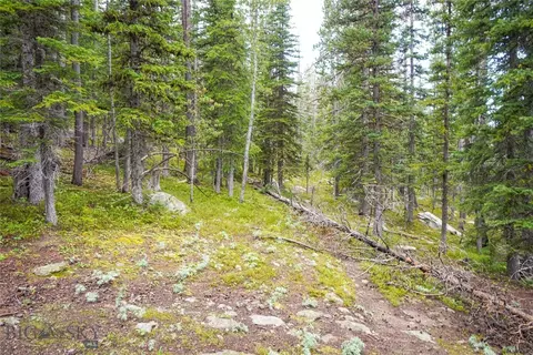 Nhn Jack Creek, Basin, MT 59631 photo 11