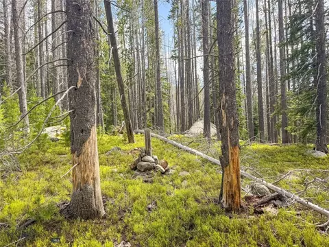 Nhn Jack Creek, Basin, MT 59631 photo 61