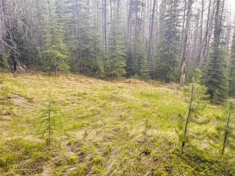 Nhn Jack Creek, Basin, MT 59631 photo 56