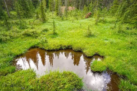 Nhn Jack Creek, Basin, MT 59631 photo 22