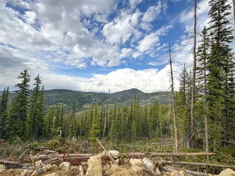 Nhn Jack Creek, Basin, MT 59631 photo 71