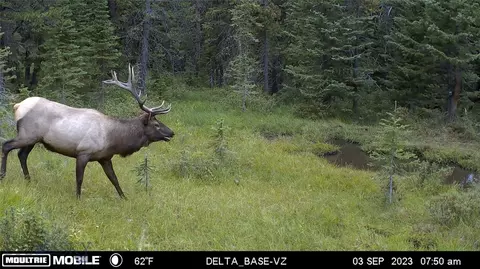 Nhn Jack Creek, Basin, MT 59631 photo 9