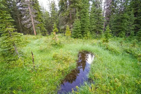 Nhn Jack Creek, Basin, MT 59631 photo 20