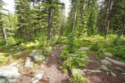 Nhn Jack Creek, Basin, MT 59631 photo 79