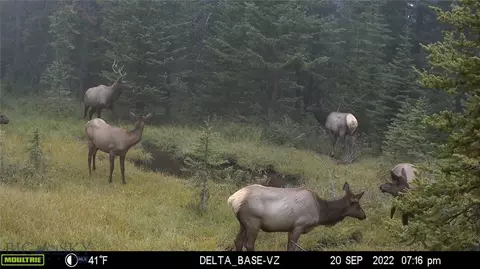 Nhn Jack Creek, Basin, MT 59631 photo 92