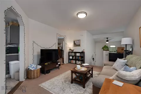102 E Granite Ave, Bozeman, MT 59718 photo 29
