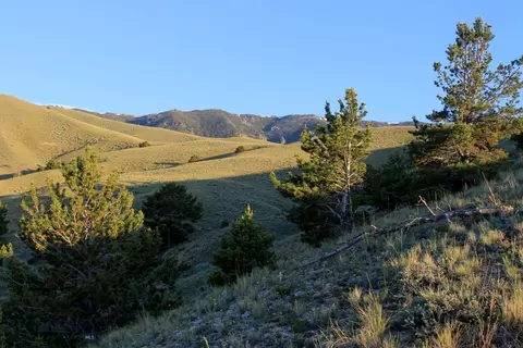 947 Freedom # -7, Belfry, MT 59008