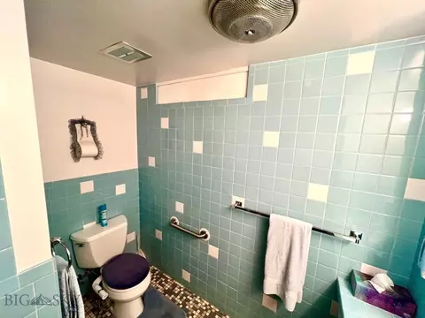Bath - 805 E Orr St, Dillon, MT 59725 photo 5 of 7