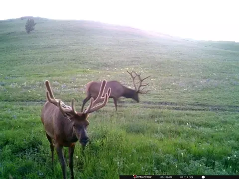 tbd Indian Creek Rd, Townsend, MT 59604