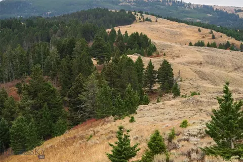 20 Ac Alpine Springs Trl, Livingston, MT 59047