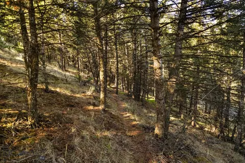 Other - 18 Libra Dr, Emigrant, MT 59027 photo 15 of 30