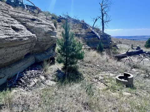 Undisclosed, Shawmut, MT 59078 photo 25