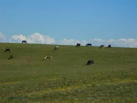 Undisclosed, Shawmut, MT 59078 photo 19