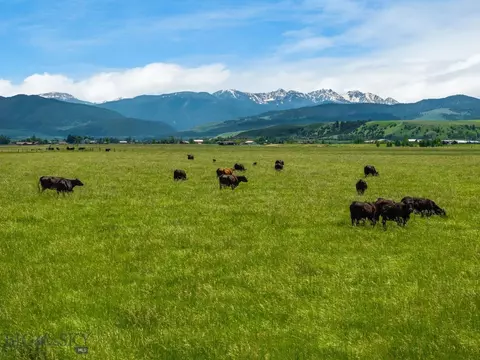 Nhn Cottontail Road, Bozeman, MT 59718