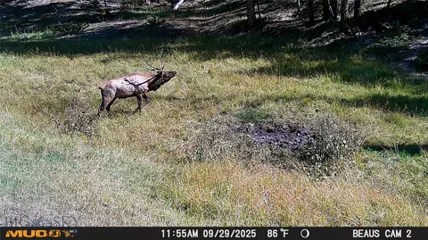 lot5 Ruby Mine Rd, Butte, MT 59701 photo 16