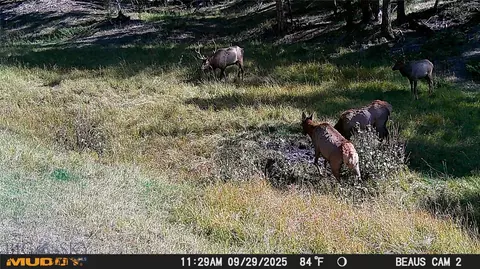 lot5 Ruby Mine Rd, Butte, MT 59701 photo 15