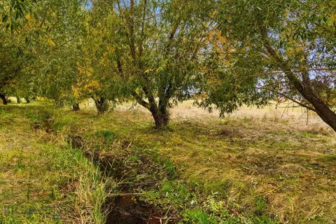 tbd 19th Ave, Bozeman, MT 59718 photo 45