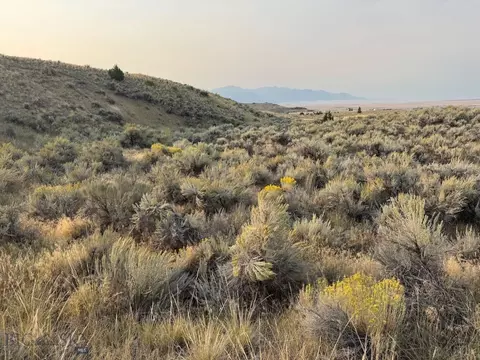 tbd Sheep Camp Rd, Whitehall, MT 59759 photo 15