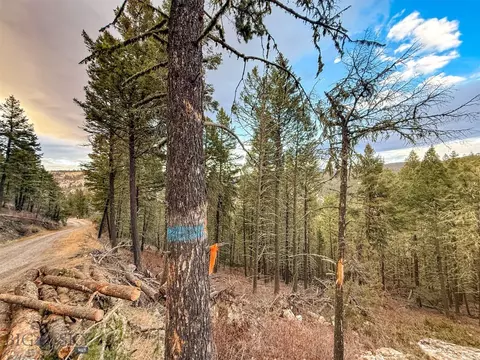 0 Two Creeks Rd, Other, MT 59645 photo 24