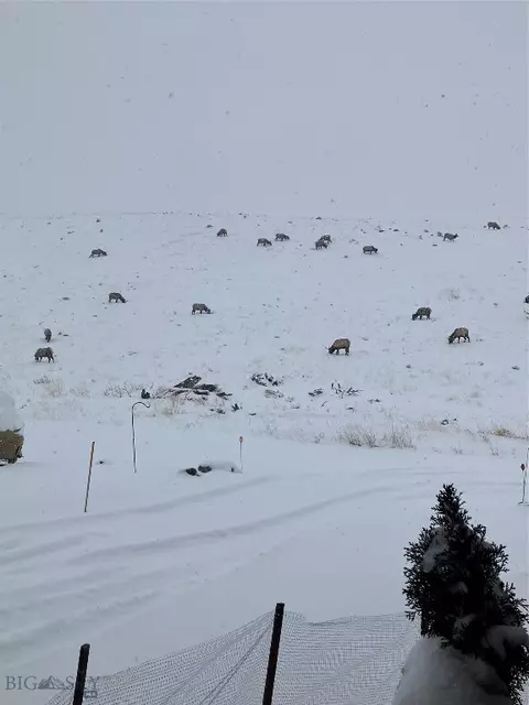 Other - 682 E River Rd, Pray, MT 59065 photo 9 of 55