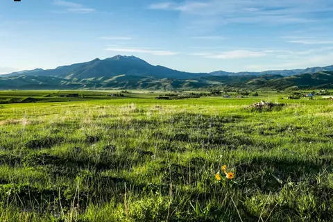 1903 Mount Ellis Ln, Bozeman, MT 59715
